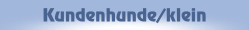 Kundenhunde/klein