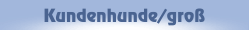 Kundenhunde/groß