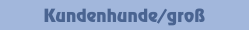 Kundenhunde/groß